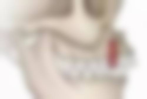 上海鼎植口腔门诊部的优势与特色