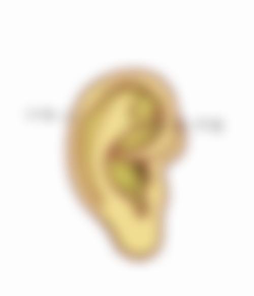 孙洪香医生简介怎么挂号