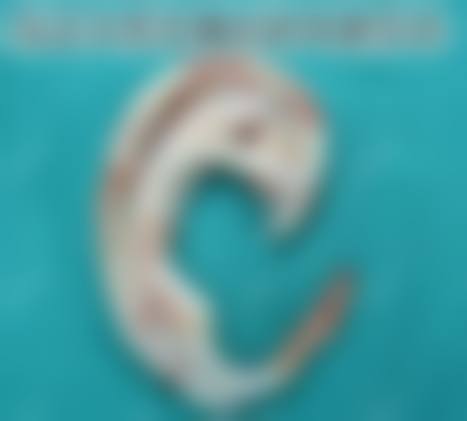 文景浩医生简介项目优势