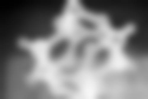 台州牙科医院价格表