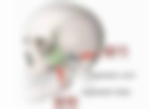 二、2026去眼袋眼霜TOP10大揭秘：各显神通的眼部救星