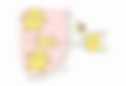 四、2026全新眼霜黑科技大赏：科技助力眼部护理新时代