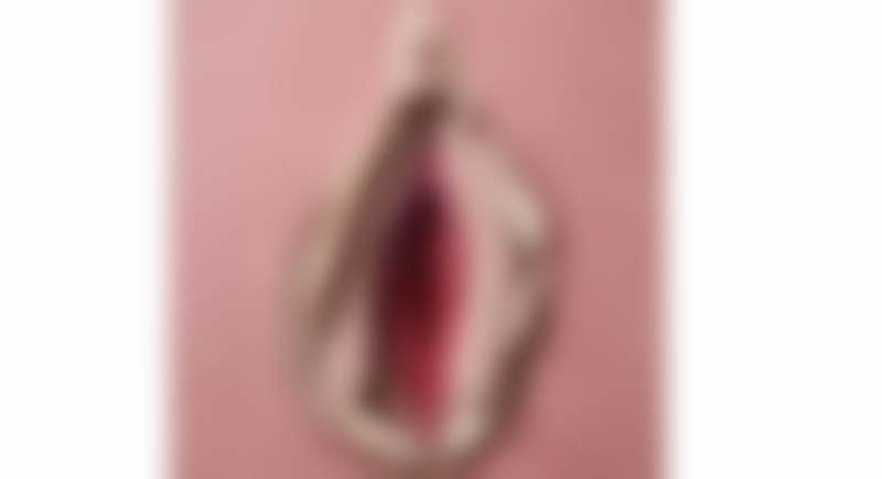 广州高尚医学美容中 心方锦平私密整形技术优势大揭秘