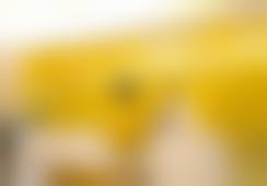 黎春艳医生简介项目优势