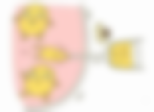 隆鼻25天吃海鲜会发炎吗？风险深度揭秘