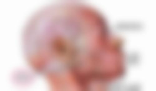 四、进口与国产假体隆胸安心性对比分析