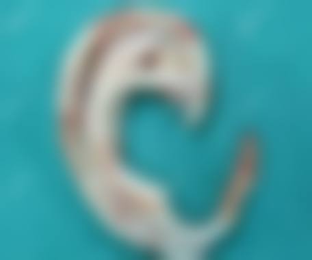 长沙美莱整形相关医生情况