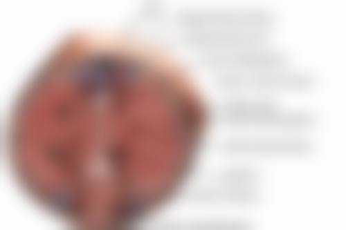 用牙签划出双眼皮之自然秘诀：耐心 + 技巧