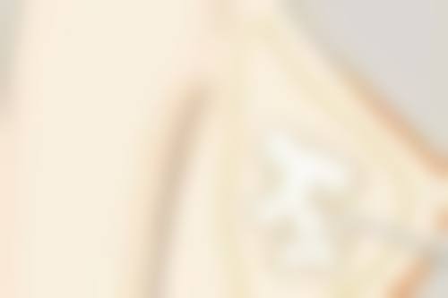 推荐指数与项目点评