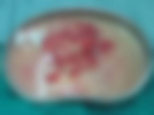 推荐指数与项目点评