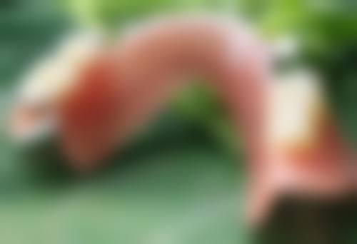 眼袋怎么刮痧按摩之穴位与经络按摩