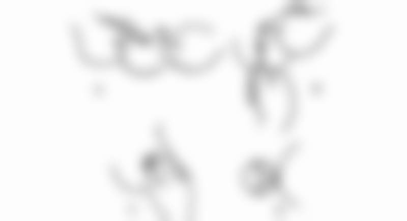 2026广州高尚医学美容中心方锦平收费标准曝光！私密整形+玻尿酸注射价格全解析