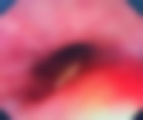 温州玉尚美医疗美容南白象整形外科门诊部资质