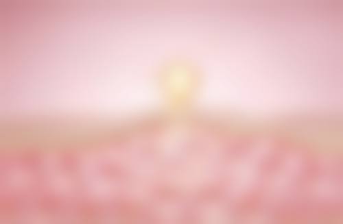 毛波医生简介项目优势