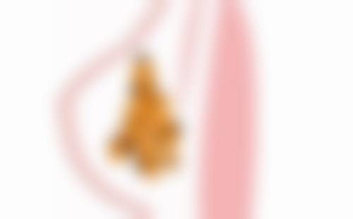 白晋医生简介口碑如何