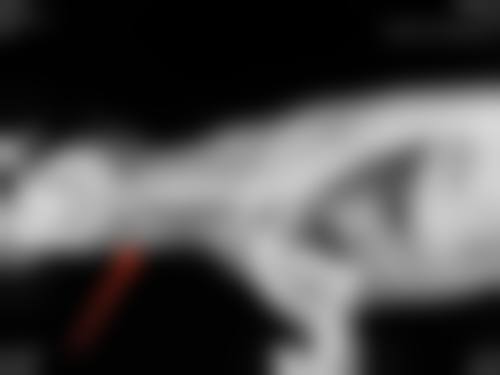 毛波医生简介：怎么挂号