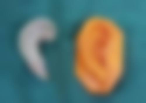 哈尔滨市南岗区臻美整形美容医院地址及乘车路线