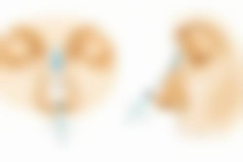 如何判断是否是疤痕体质之医院专精判断：精细诊断的科学方法