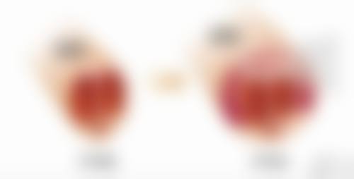 刘金红医生简介医生顾客实例图片