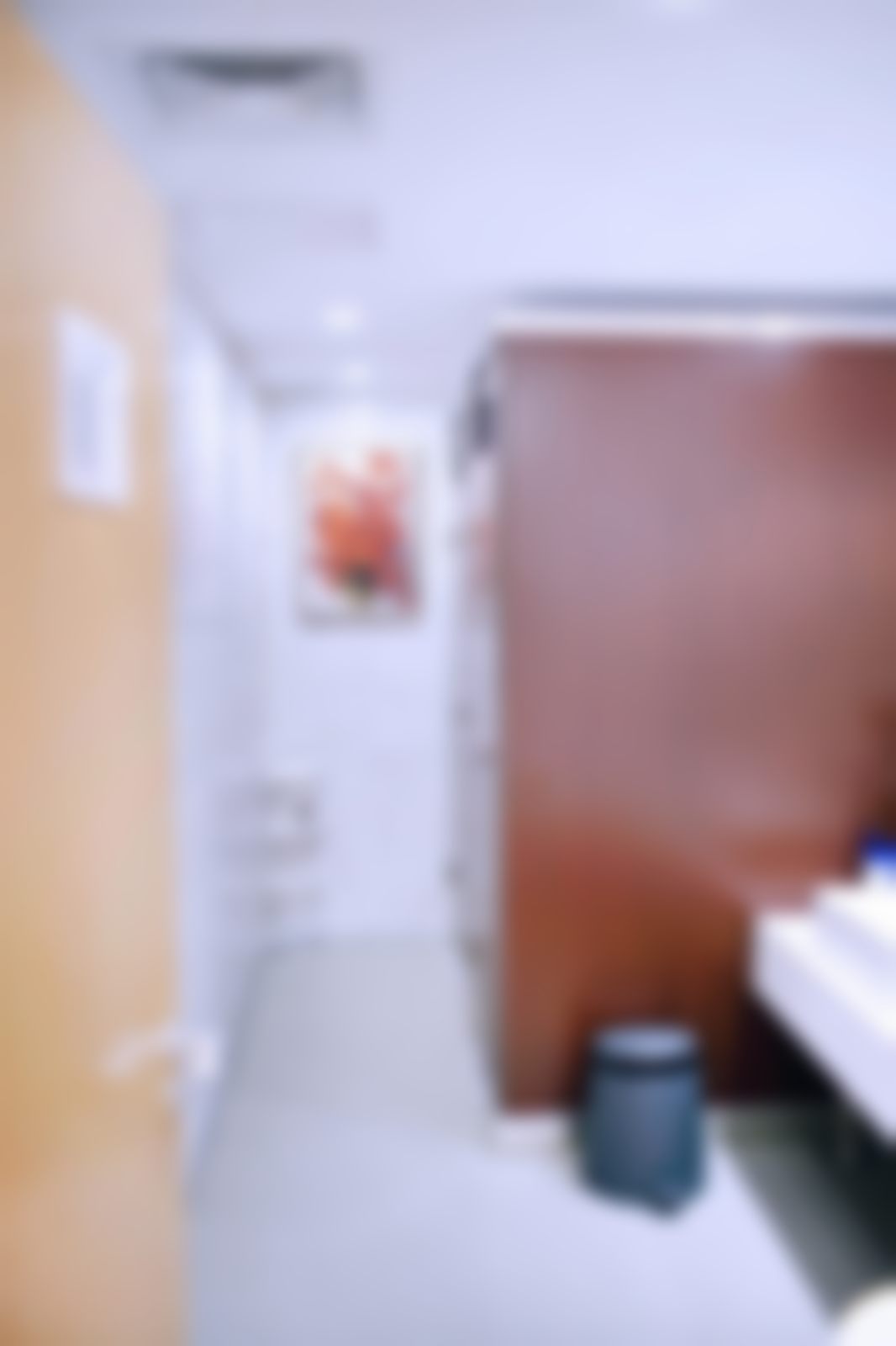 切开双眼皮修复III度项目简介