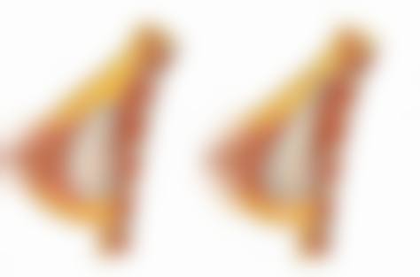 石家庄市新华区王紫美容中 心怎么样，医生简介