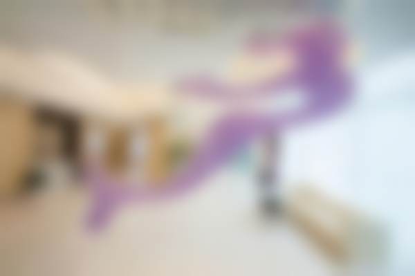 梅格·米克医生项目优势