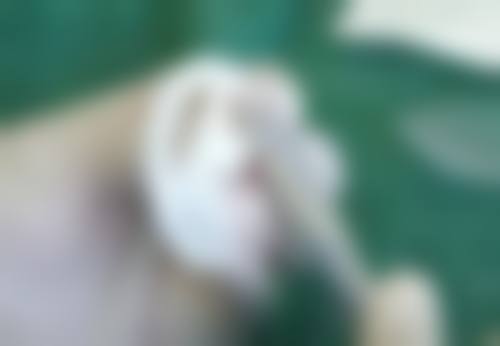 周晶蓉医生简介医生顾客实例图片