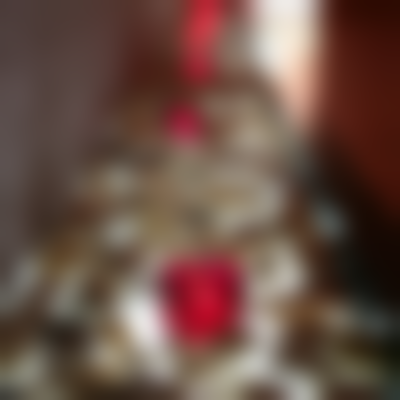 上海艺星顾客实例:真实成效的见证