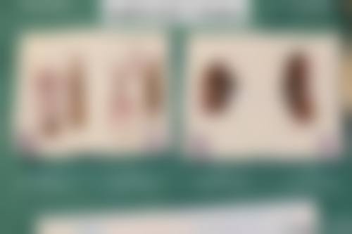 天津南开晗熙医疗美容诊所怎么样,怎么挂号,地址在哪儿