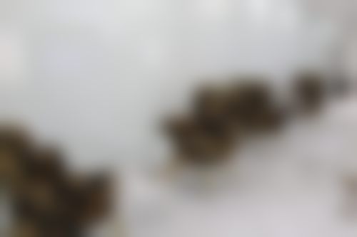 卫福禄医生简介做手术价格