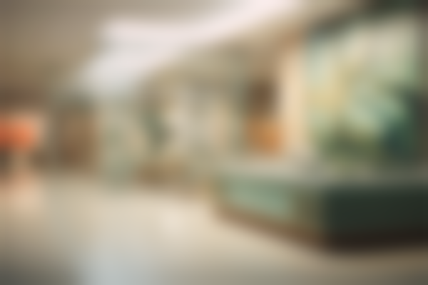 上海宝山区中心医院