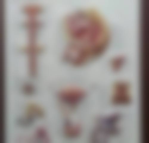 五、日本クリニカ市ケ谷美容外科医院医生简介