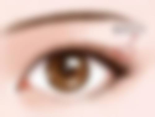 八、日本クリニカ市ケ谷美容外科医院价格表