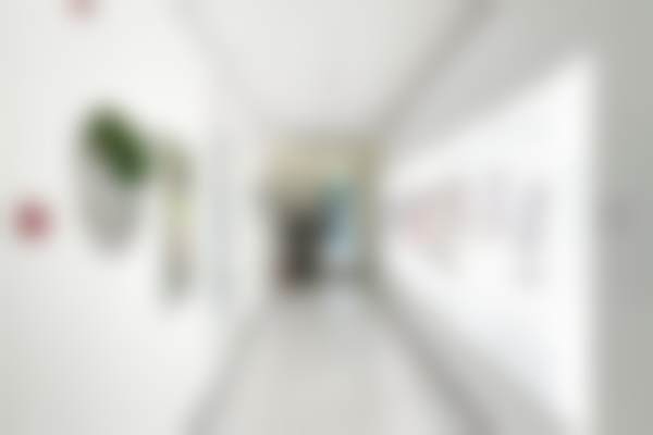 朝阳区张春彦收费一览表中的填充技术与独特服务亮点