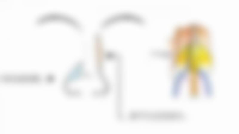 安徽维多利亚整形外科医院基本信息