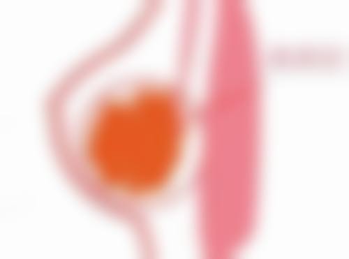 广州艾妃媄后医疗美容门诊部（原铂娅曼）有哪些特色