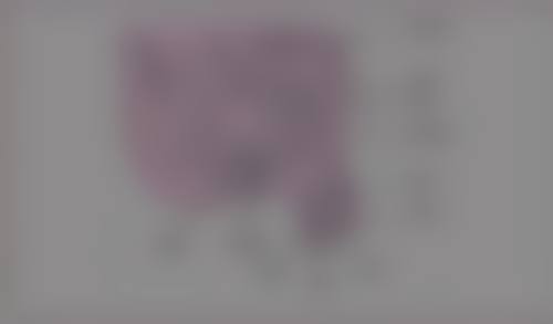 金东浩医生简介项目优势