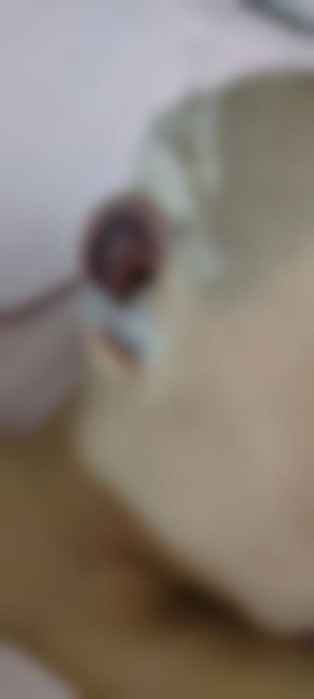 武汉思妍丽医疗美容整形医院医生简介