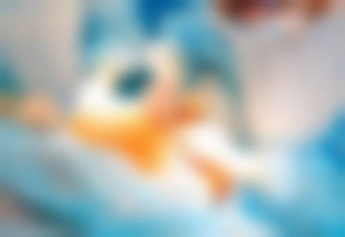 韩国JUM口腔颌面外科医院基本信息