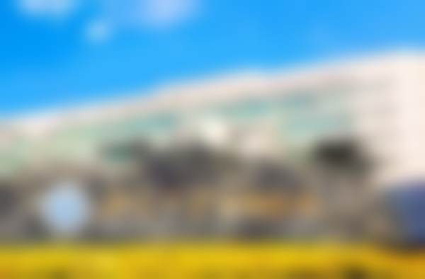 罗林医生简介做手术价格