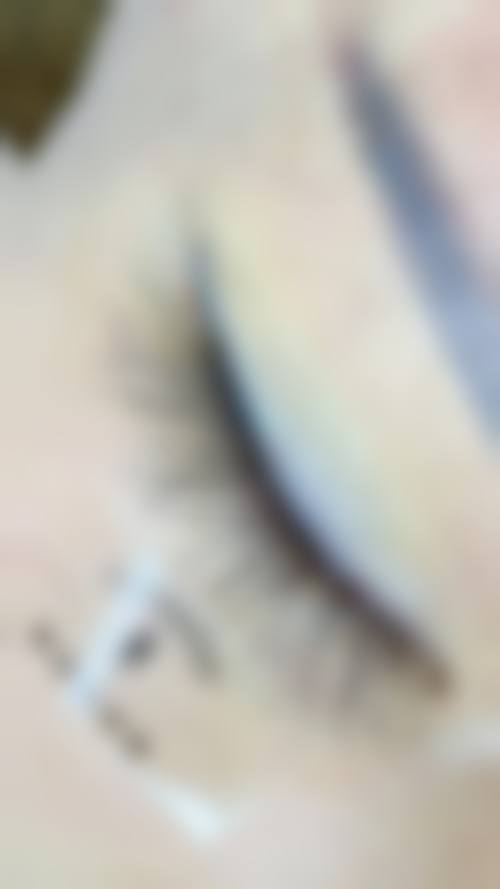 娄底市中医院烧伤整形科价格表