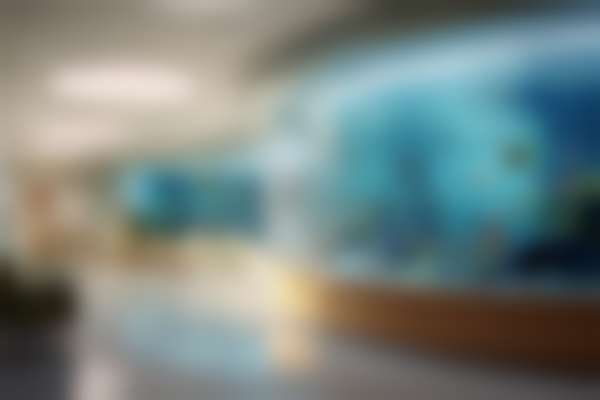 北京爱多邦整形医院