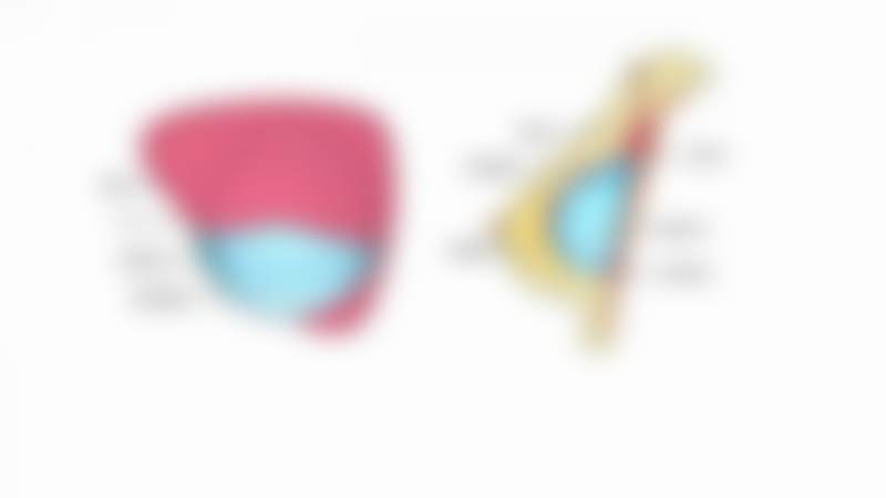 金世永医生简介项目优势