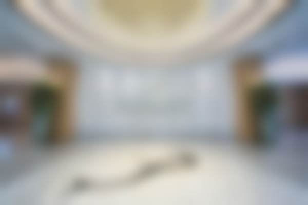 武汉美莱医疗美容医院胸部整形顾客实例