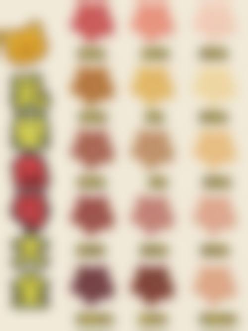 盖雪医生简介：擅长项目及优势