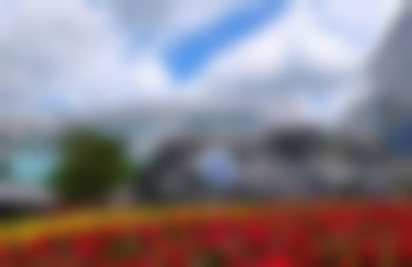 罗林医生简介项目优势