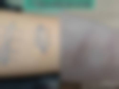 梅州爱丽诺整形医院医生简介