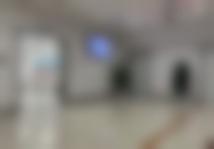 段艳军 医生顾客实例图片