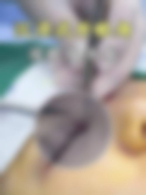 菏泽芯美人医疗美容门诊部基本情况