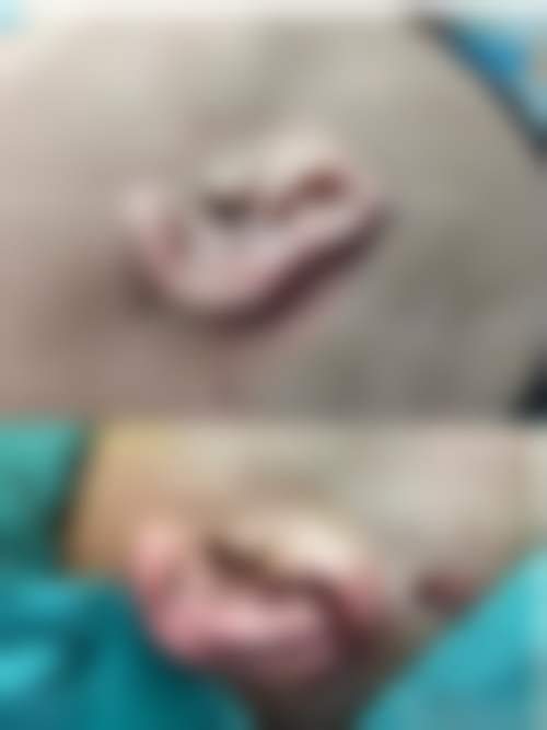 西安伊伊光医疗美容诊所医生简介